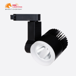 ĐÈN RỌI RAY CAO CẤP 20W