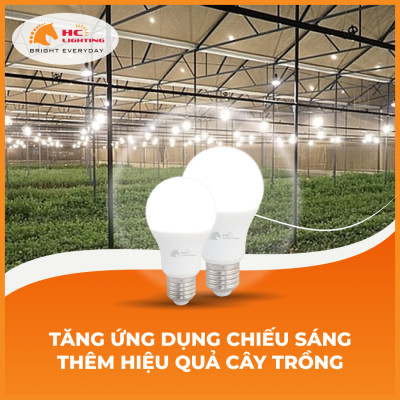 TĂNG ỨNG DỤNG CHIẾU SÁNG , THÊM HIỆU QUẢ CÂY TRỒNG